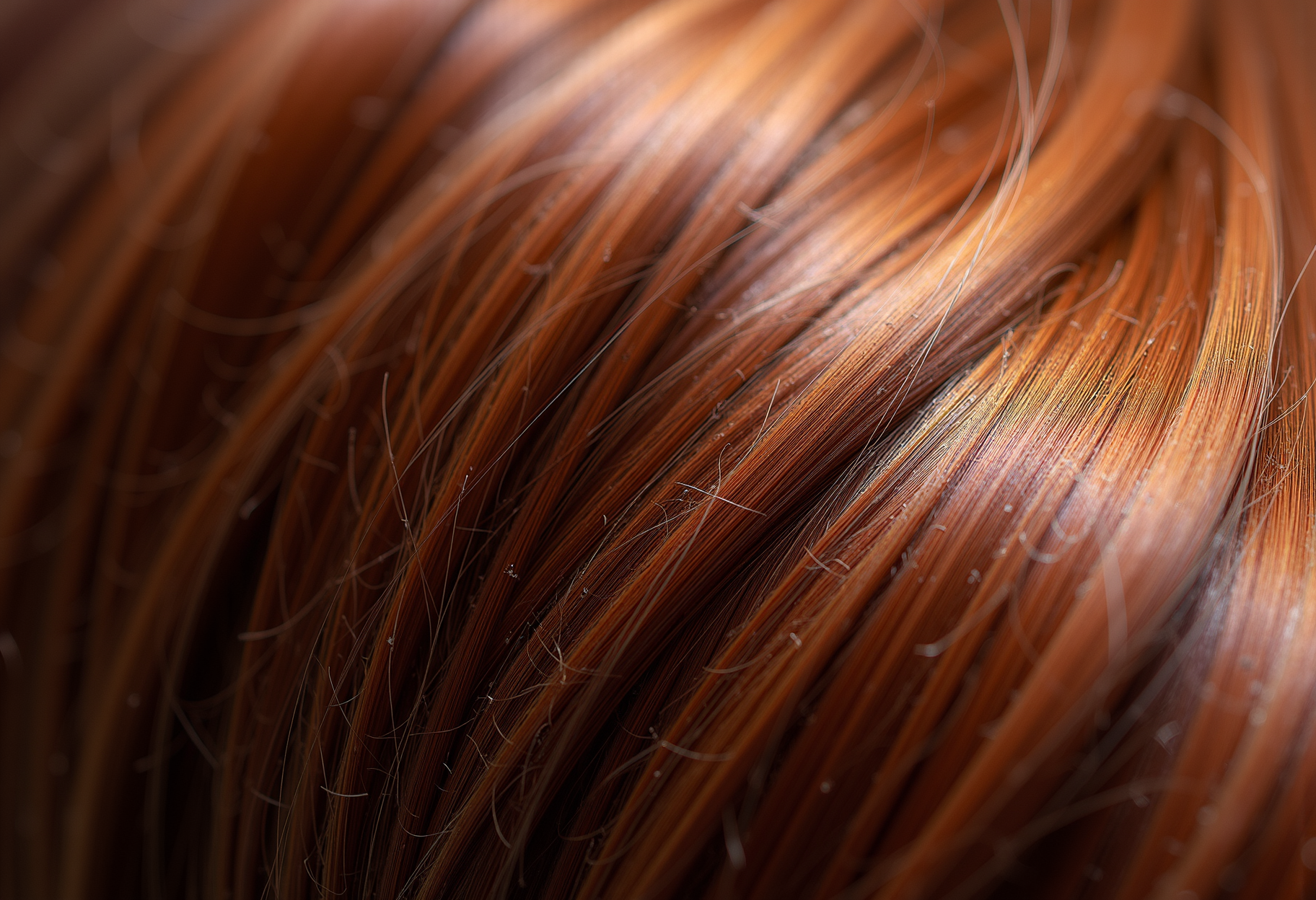 Colour close-up